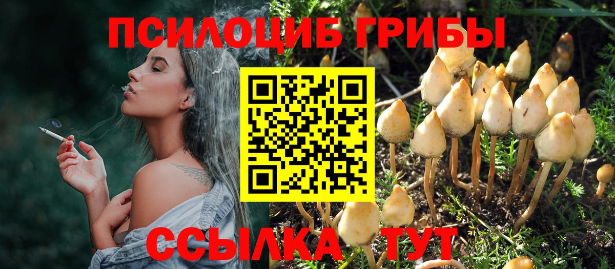 Псилоцибиновые грибы мицелий Соль-Илецк