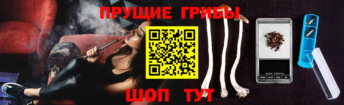 Галлюциногенные грибы GOLDEN TEACHER  Вход с VPN  Псилоцибиновые грибы Psilocybine cubensis  Соль-Илецк 